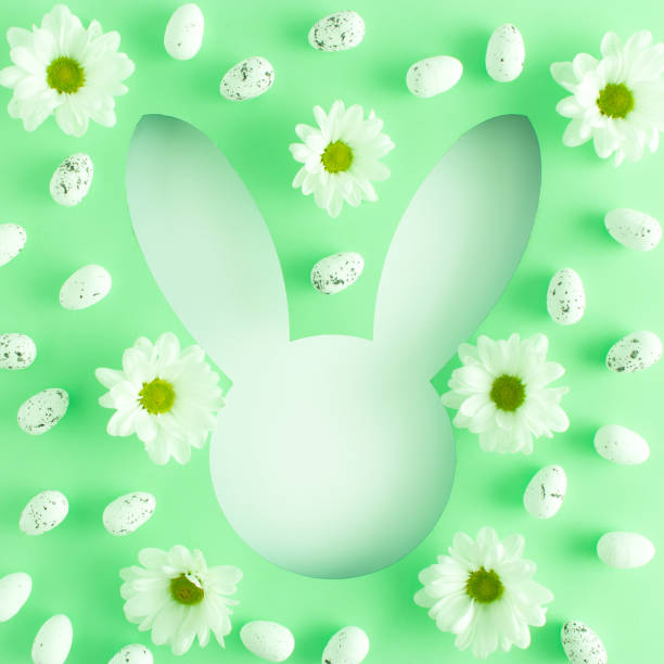 istock Minimal Easter concept with flowers and eggs on light green background. Creative copy space like bunny head shape. Spring holiday layout. Flat lay. 1313116507