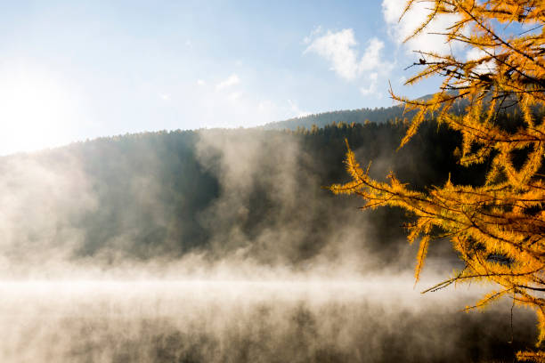 лей из стаза - engadine alps landscape autumn european alps стоковые фото и изображения