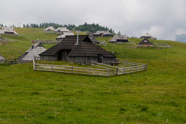 istock Old village of Velika Planina 1313123575