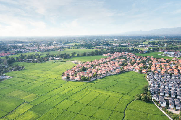 istock Land plot and green field in aerial view. 1313124478