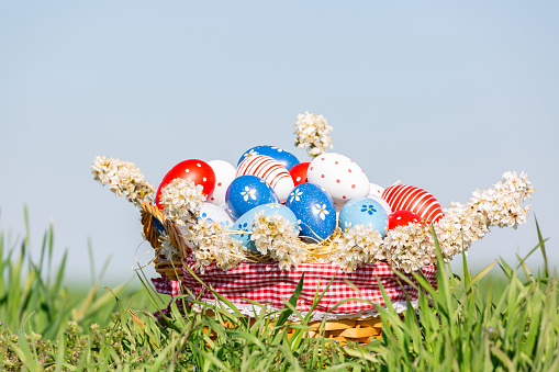 Painted Easter eggs in a basket filled with blooming branches in the spring green grass against blurred background.