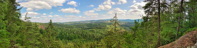 Panoramic view over forest in Saxon Switzerland from Koenigsplatz, Hinterhermsdorf