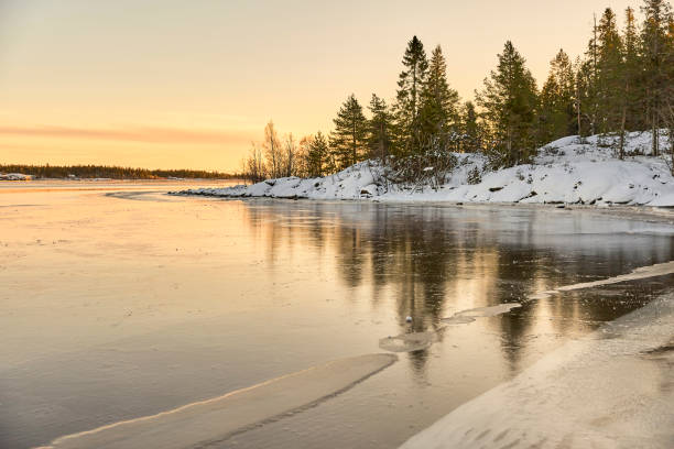 istock Frozen lake with trees at sunset 1313131397