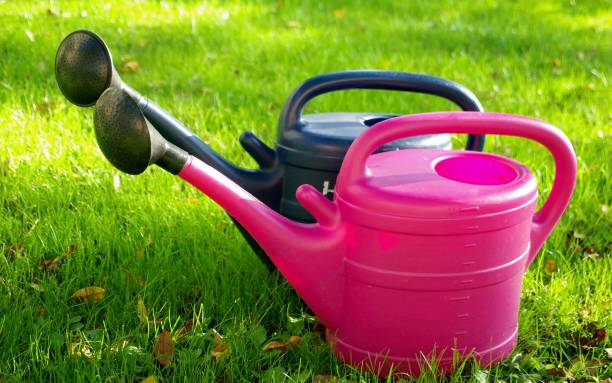istock Pink and blue watering can 1313131431