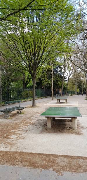 istock Sporting facilities on the public way in Paris 1313132225
