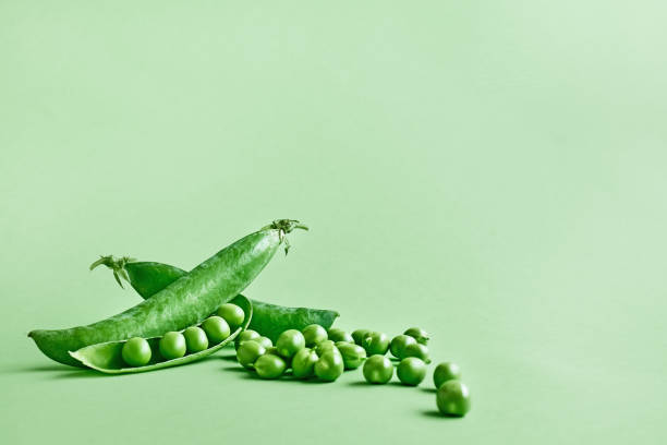 istock Minimal food creative concept. Fresh green peas on light green pastel background. 1313132309