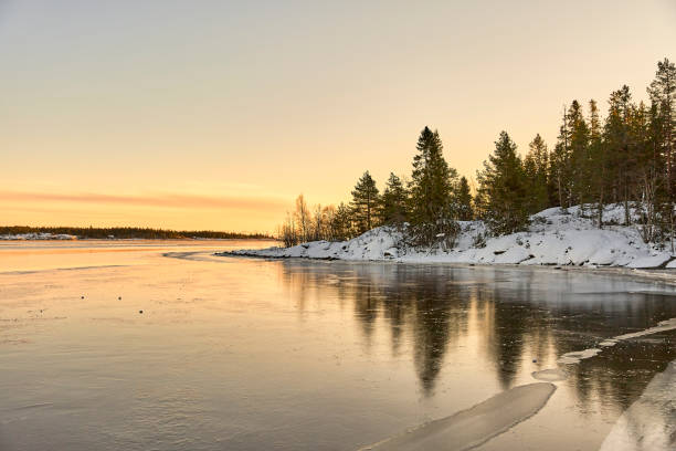 istock Frozen lake with trees at sunset 1313132365