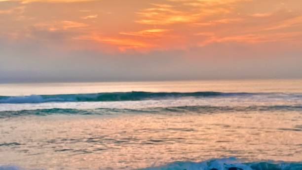 istock Before sunrose on a tropical sea 1313133610