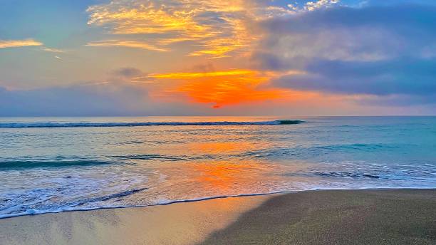 istock Before sunrose on a tropical sea 2 1313133616