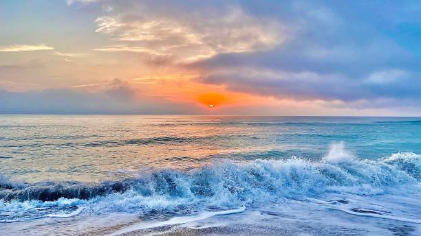 istock Before sunrose on a tropical sea 3 1313133617