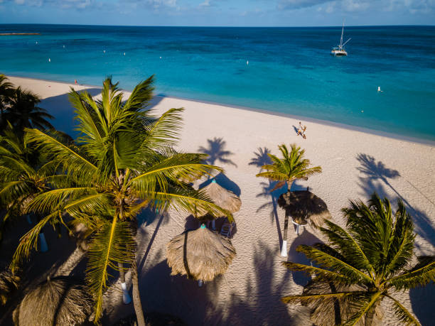 istock Palm beach Aruba Caribbean, white long sandy beach with palm trees at Aruba 1313134890