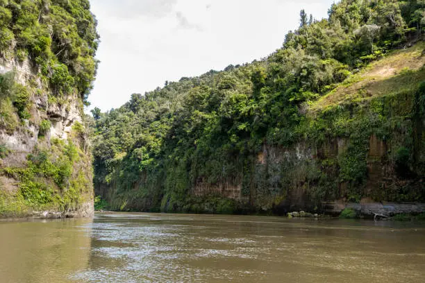 Photo of Tour on untouched Whanganui river and through surrounding jungle, New Zealand