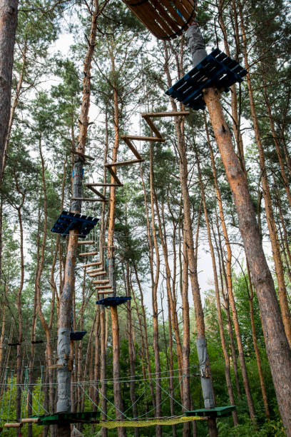 istock Obstacle course, rope park among the trees in the forest 1313135351