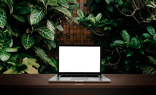 Modern laptop  isolated on green leaf background. 3D illustration.