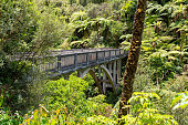 Tour on untouched Whanganui river and through the surrounding jungle, New Zealand