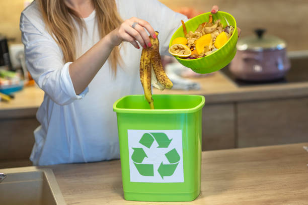 istock Millennial young woman recycling compost from kitchen waste. 1313138533