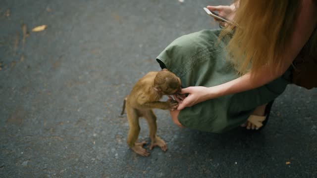 small young monkey child hold a young Caucasian woman in a dress and fondles