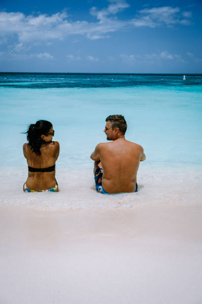 plaża palmowa aruba caribbean, biała długa piaszczysta plaża z palmami na arubie - aruba honeymoon tourist resort vacations zdjęcia i obrazy z banku zdjęć
