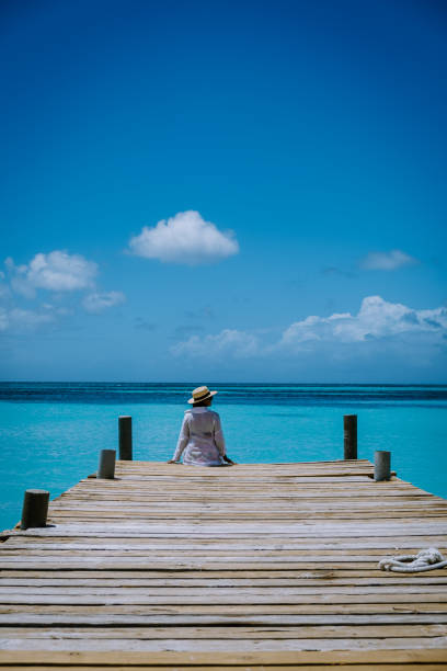 istock Palm beach Aruba Caribbean, white long sandy beach with palm trees at Aruba 1313145559