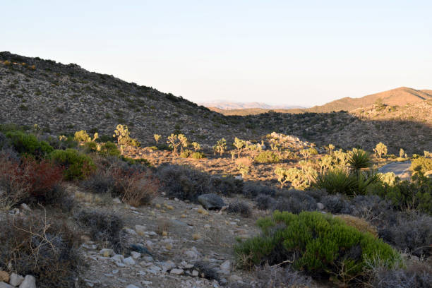 istock A Shadow Falls on the California Desert 1313146037