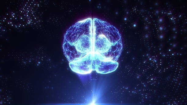 Holographic human brain rotating in virtual space, X-rays futuristic technologies stock photo