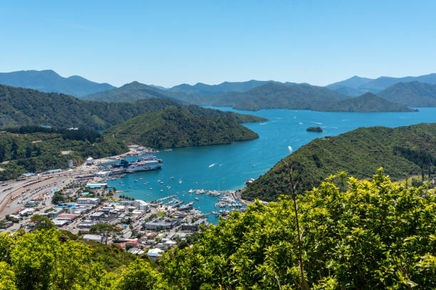 istock Panoramic view at Picton harbor, New Zealand 1313148230