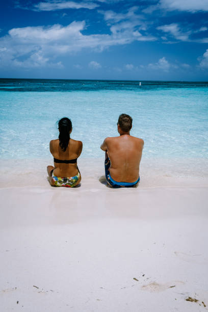 plaża palmowa aruba caribbean, biała długa piaszczysta plaża z palmami na arubie - aruba honeymoon tourist resort vacations zdjęcia i obrazy z banku zdjęć