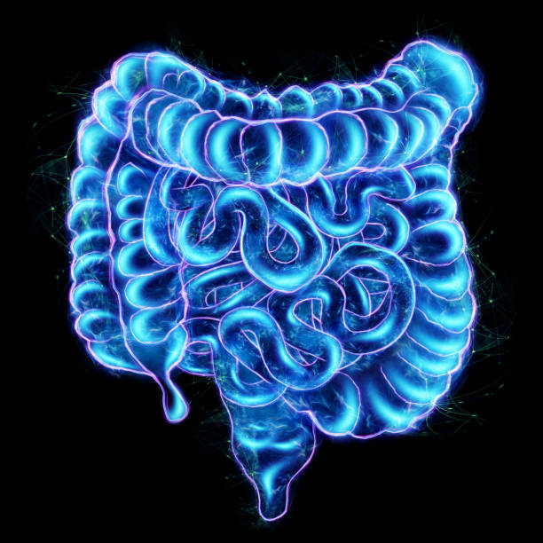 istock Intestines hologram isolated on black background. Constipation concept, bowel disorder, body scan, digital x-ray, abdominal organs. 1313149814