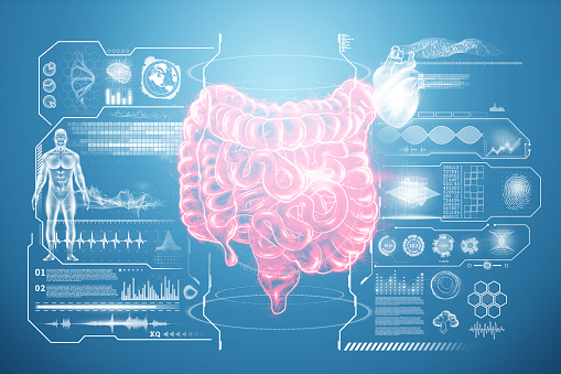 Digital medical illustration: X-ray of human digestive system. Anterior (front) view.
