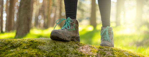 istock person walking through the forest in nature 1313150624