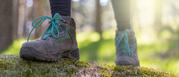 istock person walking through the forest in nature 1313150637