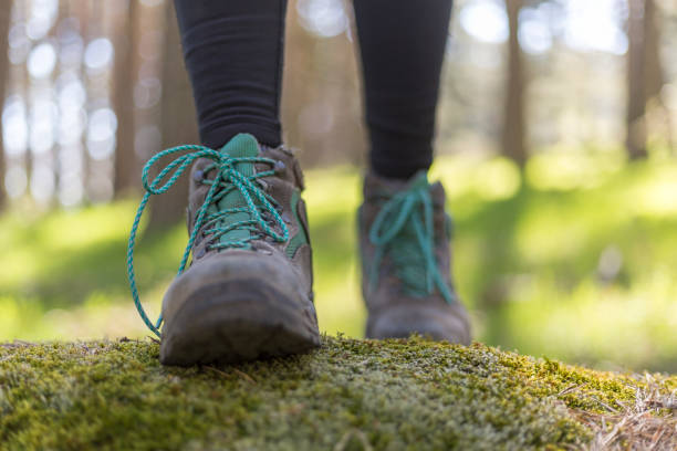 istock person walking through the forest in nature 1313150638