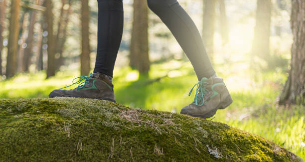 istock person walking through the forest in nature 1313150647