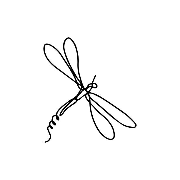 Isolated elements on a white background. Stylized dragonfly. Vector. Drawing in one line. Black and white image. Dragonfly. Insect. Suitable for posters, stickers and postcards. Isolated elements on a white background. Stylized dragonfly. Vector. Drawing in one line. Black and white image. Dragonfly. Insect. Suitable for posters, stickers and postcards. dragonfly drawing stock illustrations