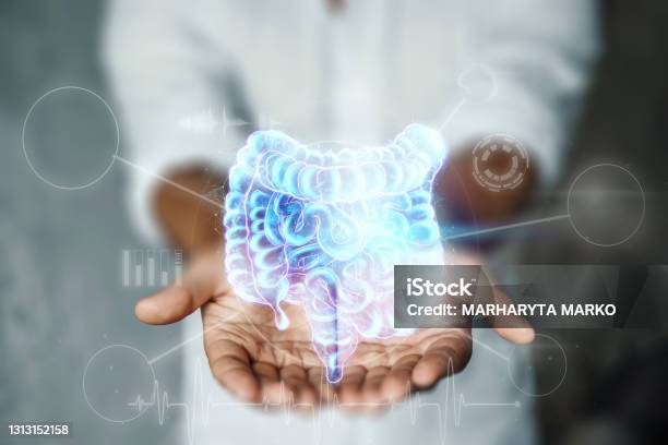 Doctor And Holographic Bowel Scan Projection With Vital Signs And Medical Records Concept Of New Technologies Body Scan Digital Xray Abdominal Organs Modern Medicine Stock Photo - Download Image Now