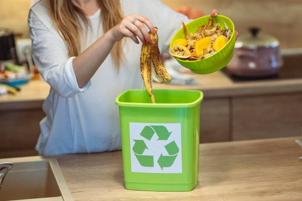 istock Food wastage as organic fertilizer 1313152293