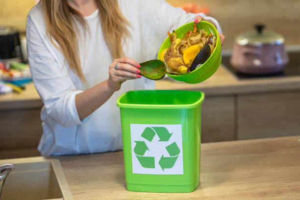 istock Domestic waste for compost from fruits and vegetables. 1313152483