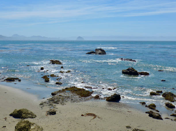istock Coastline San Simeon, California 1313156017