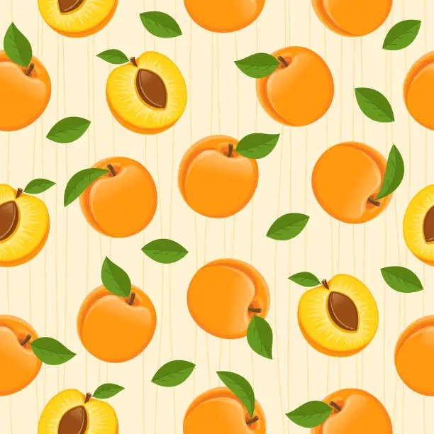 Vector illustration of Apricot vector seamless pattern.