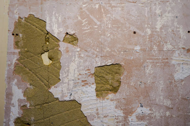 istock Close up of damaged plastered walls 1313158254