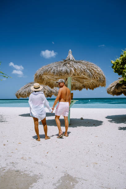 istock Palm beach Aruba Caribbean, white long sandy beach with palm trees at Aruba 1313159285