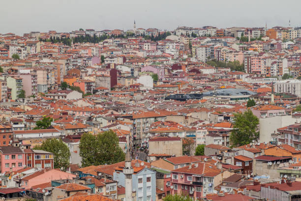 istock Skyline of Istanbul in Turk 1313160959