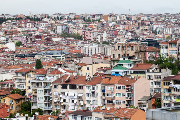 istock Skyline of Istanbul in Turk 1313160968