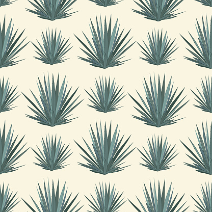 Vector seamless pattern with blue agave. Tequila agave succulent plant background, wallpaper.