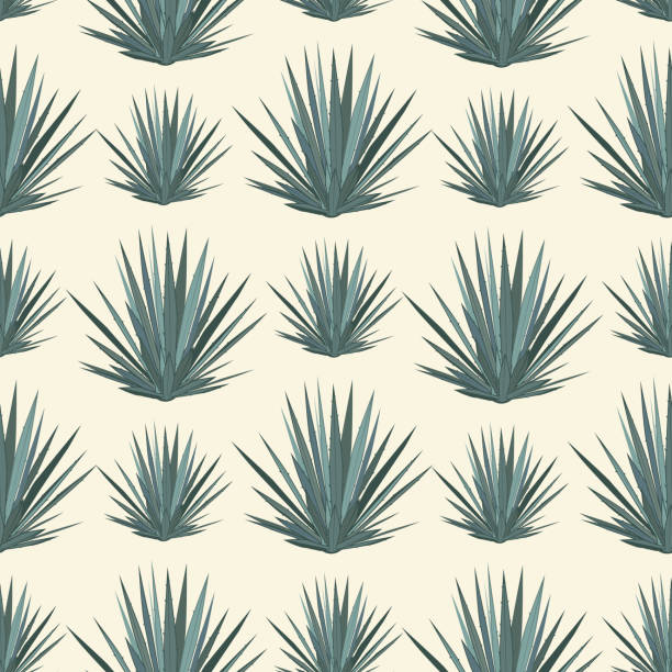 Vector seamless pattern with blue agave. Tequila agave succulent plant background, wallpaper Vector seamless pattern with blue agave. Tequila agave succulent plant background, wallpaper. agave plant stock illustrations