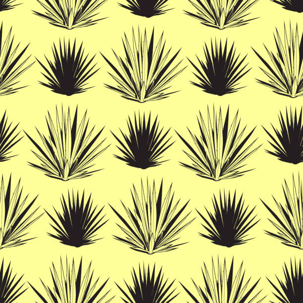 ilustrações, clipart, desenhos animados e ícones de padrão sem costura vetorial com silhuetas de agave azul. fundo suculento da planta de tequila agave, papel de parede - silhouette abstract backgrounds design