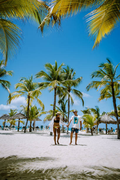 istock Palm beach Aruba Caribbean, white long sandy beach with palm trees at Aruba 1313162661
