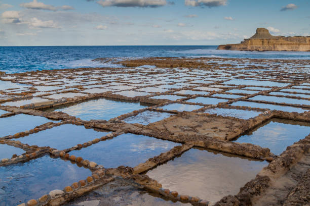 istock Salt pans on Gozo island in Mal 1313162726