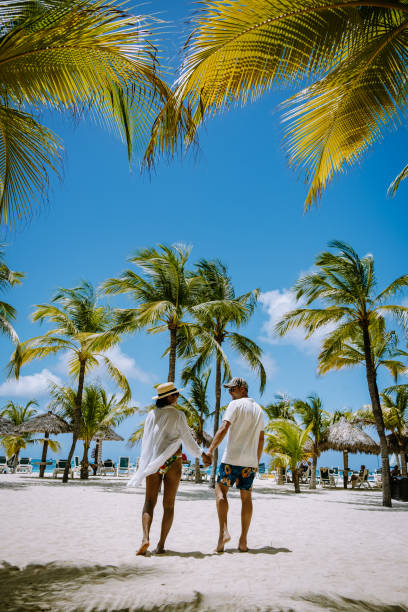 plaża palmowa aruba caribbean, biała długa piaszczysta plaża z palmami na arubie - aruba honeymoon tourist resort vacations zdjęcia i obrazy z banku zdjęć