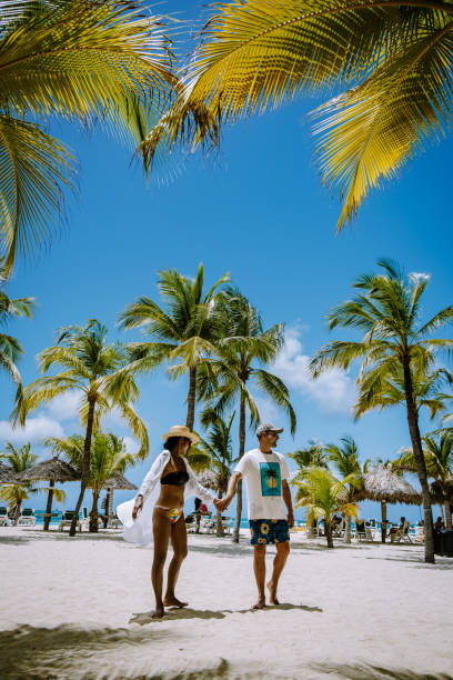 istock Palm beach Aruba Caribbean, white long sandy beach with palm trees at Aruba 1313162906